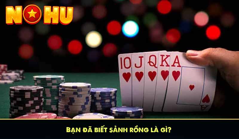 Bạn đã biết sảnh rồng là gì chưa?