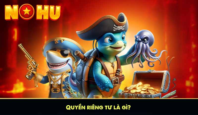 QUYỀN RIÊNG TƯ 59 Quyền riêng tư là gì?